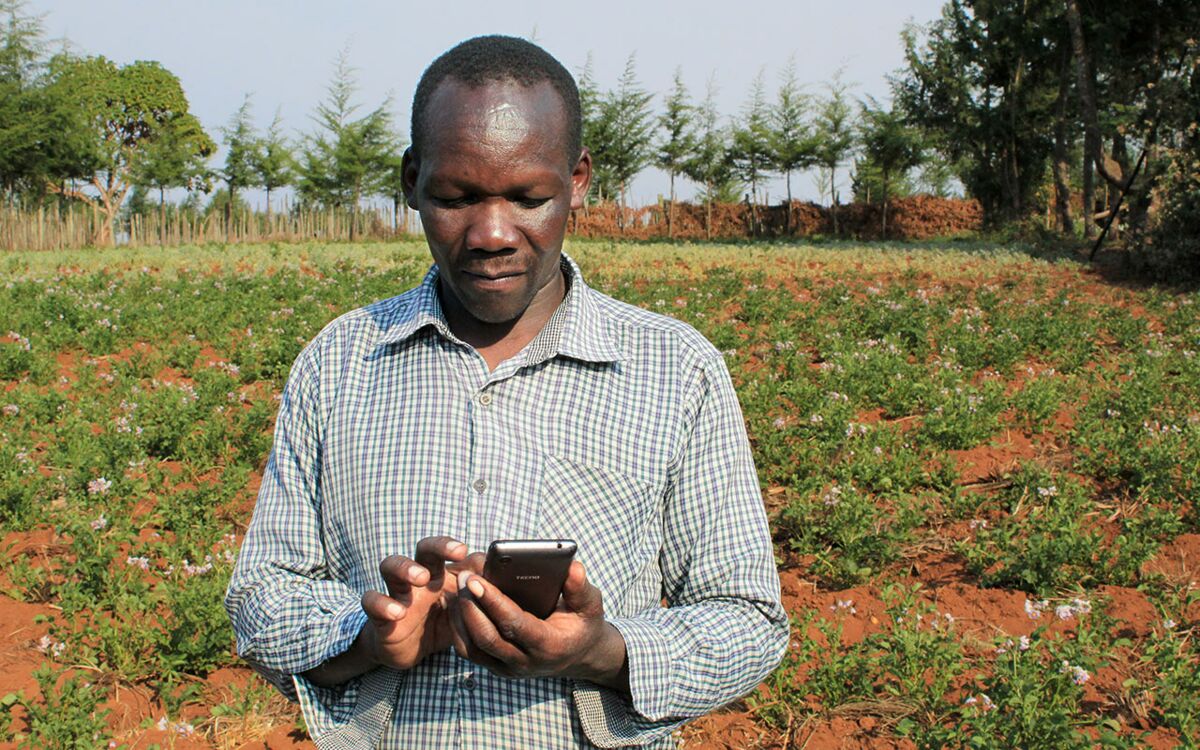 Ein Wegweiser: Wo geht es denn hier zum Markt?