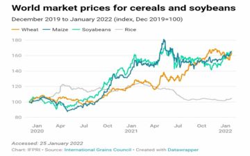Ich bin ein Alternativtext