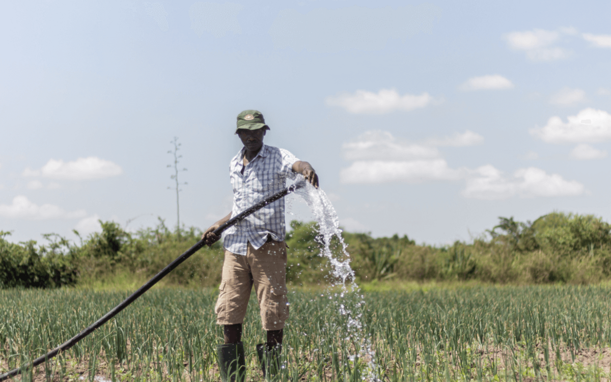 Wasser bietet die vielleicht einzige Chance
