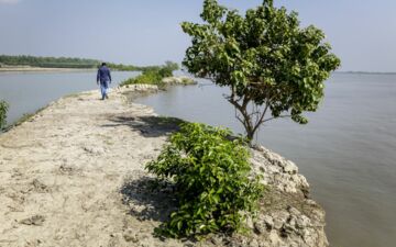 Quinoa könnte in Zentralasien ein riesiges Potenzial haben, wo das Aralseebecken besonders stark von der Versalzung betroffen ist. Foto: ICBA