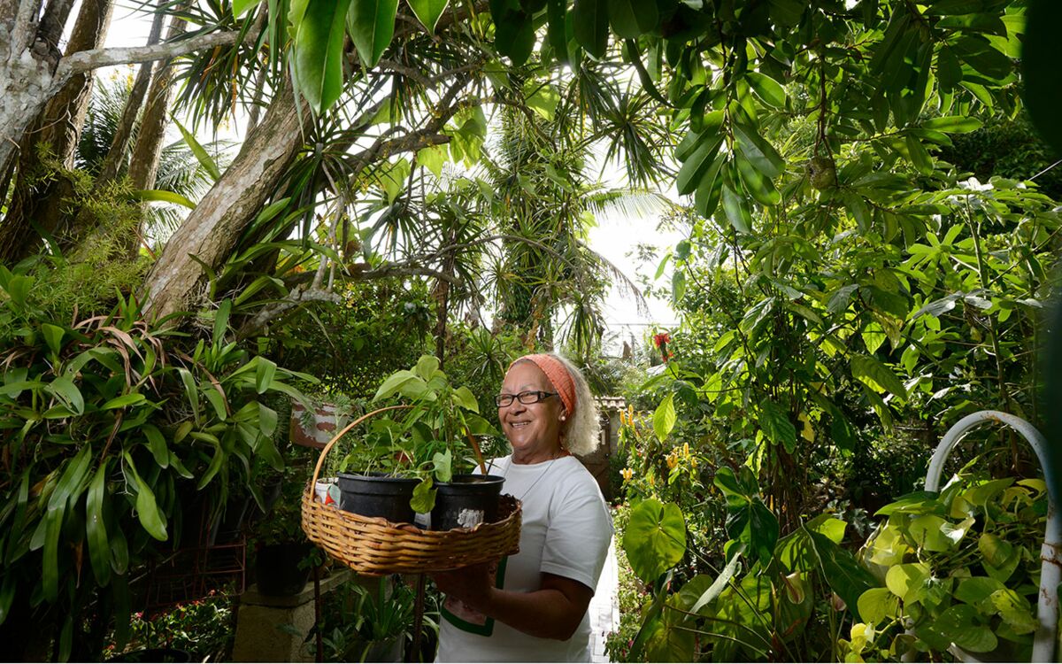 The hype about urban gardening: farmers or hobby gardeners?
