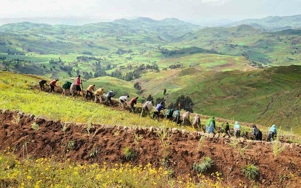 Vorteil Vielfalt: Ideenreich gegen den Hunger und Armut
