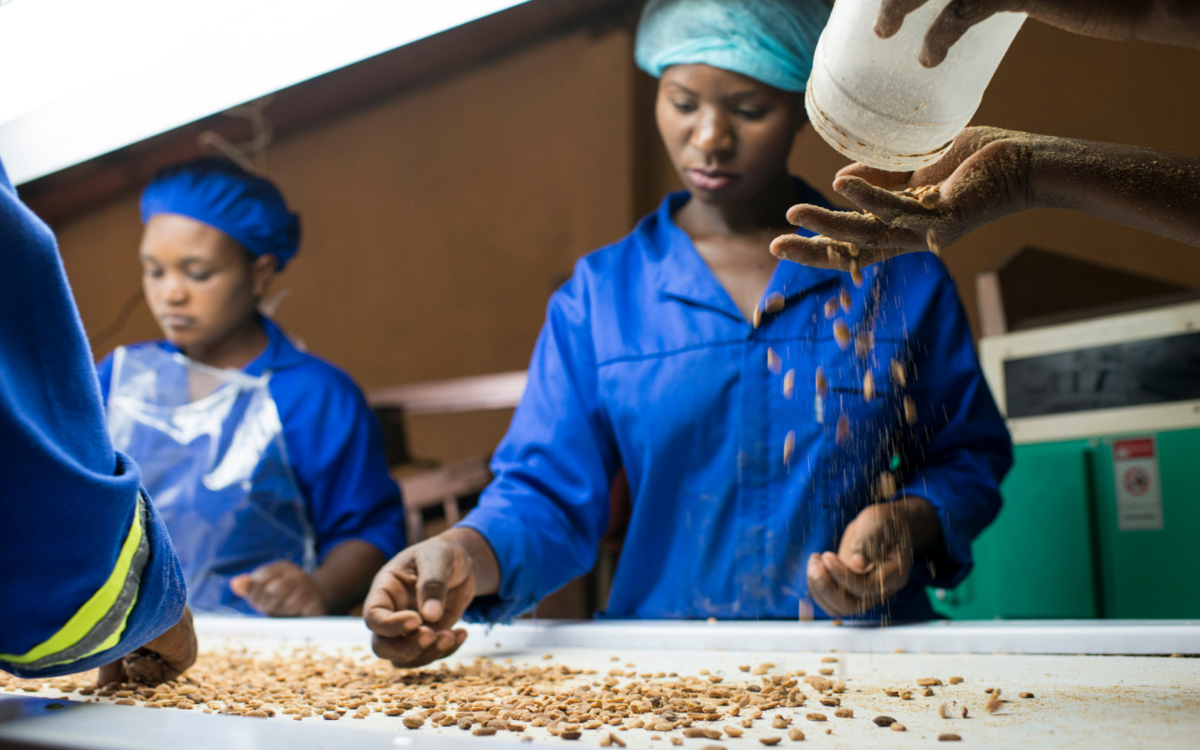 Ich bin ein Alternativtext