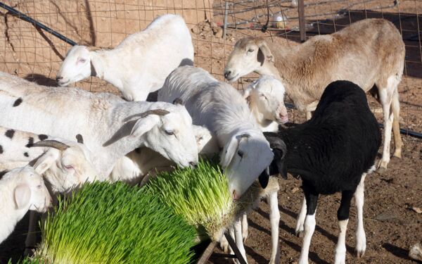 (c) Nina Schroeder/World Food Programme