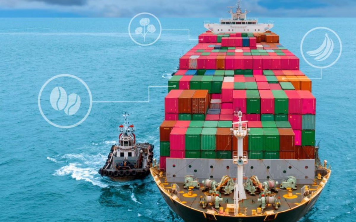 David versus Goliath: Consequences of mainstream agricultural export commodities and niche products