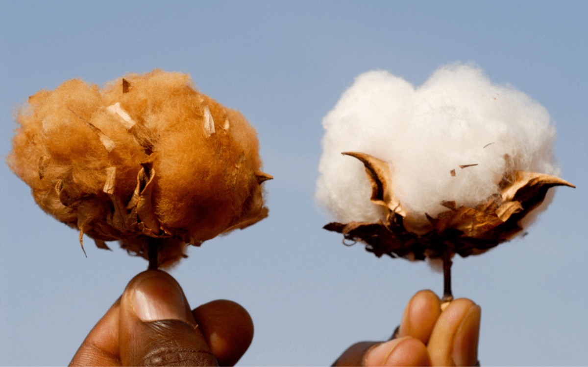 Vom Feld in den Fanshop: Wie man einen Topf größer macht