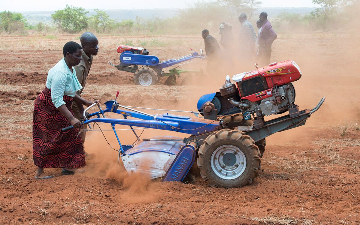 Continent in an uptrend