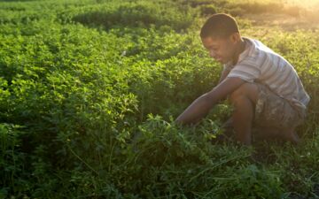 Studienteilnehmende großer sowie von Frauen geführter Haushalte leiden stärker unter Ernährungsunsicherheit. (c) Friederike Krämer/GIZ