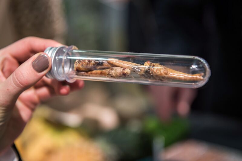 (c) Gudrun Barenbrock/GIZ