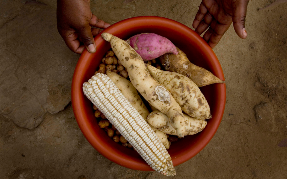Was braucht es für einen echten Paradigmenwechsel der Ernährungssysteme?