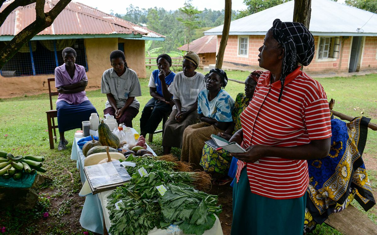 "Die grüne Revolution stößt an ihre Grenzen"