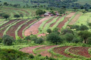 Terraced areas in the Eastern Province of Kenya. (c) Christoph Püschner/Bread for the World