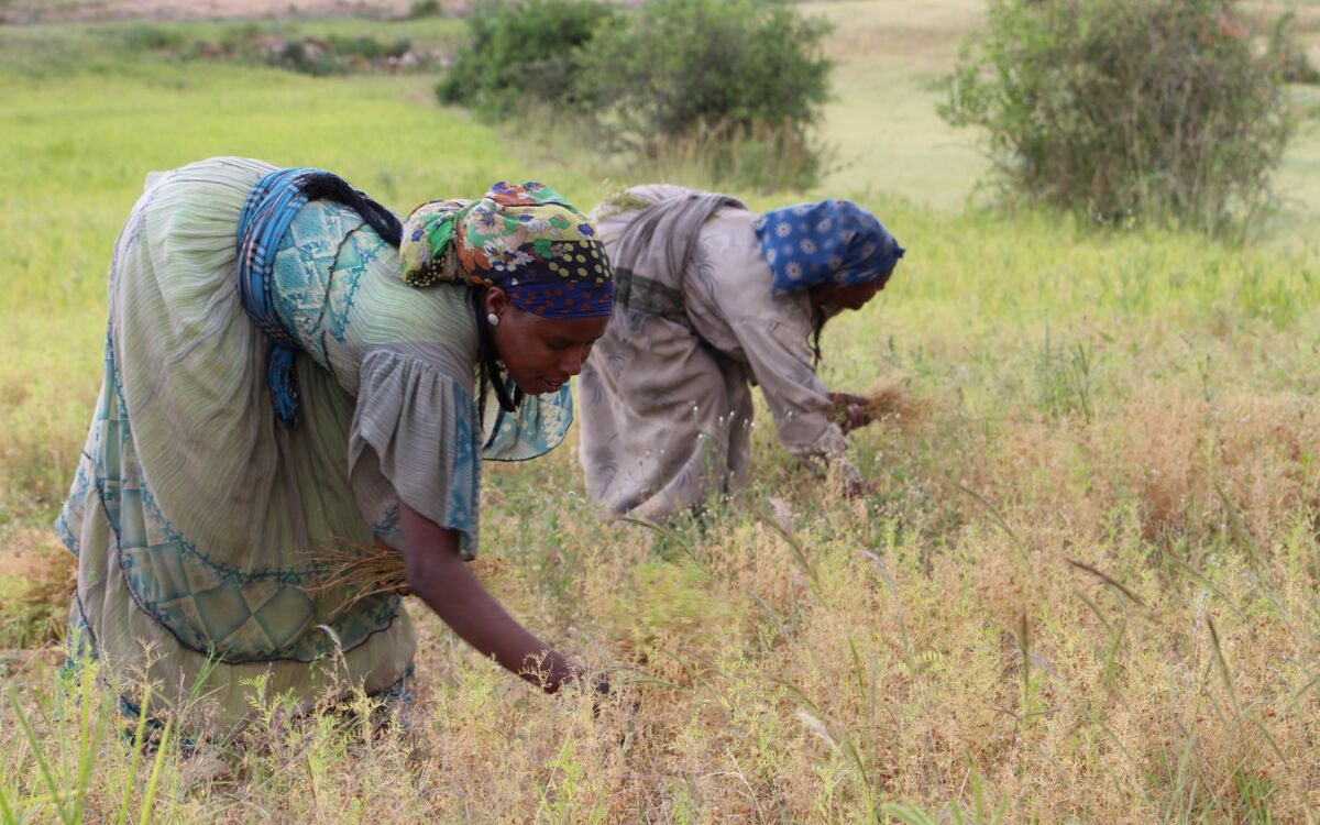 „Eine sektorübergreifende Denkweise ist erforderlich“