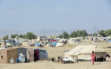 Quinoa könnte in Zentralasien ein riesiges Potenzial haben, wo das Aralseebecken besonders stark von der Versalzung betroffen ist. Foto: ICBA