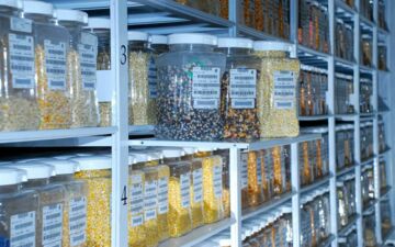 Die befragten Menschen möchten sich aktiver an Food-Governance-Prozessen beteiligen. (c) SLE