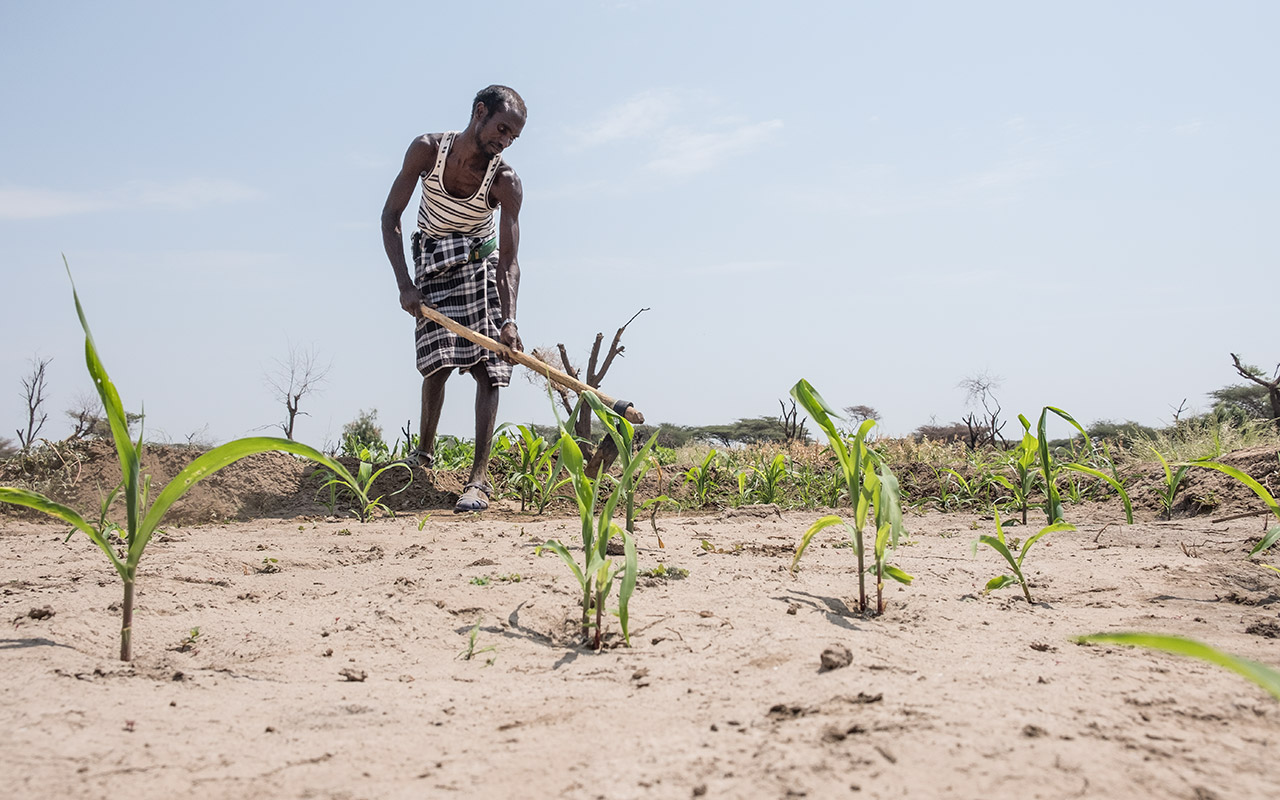 Poor environmental conditions require good adaptation © Rainer Kwiotek