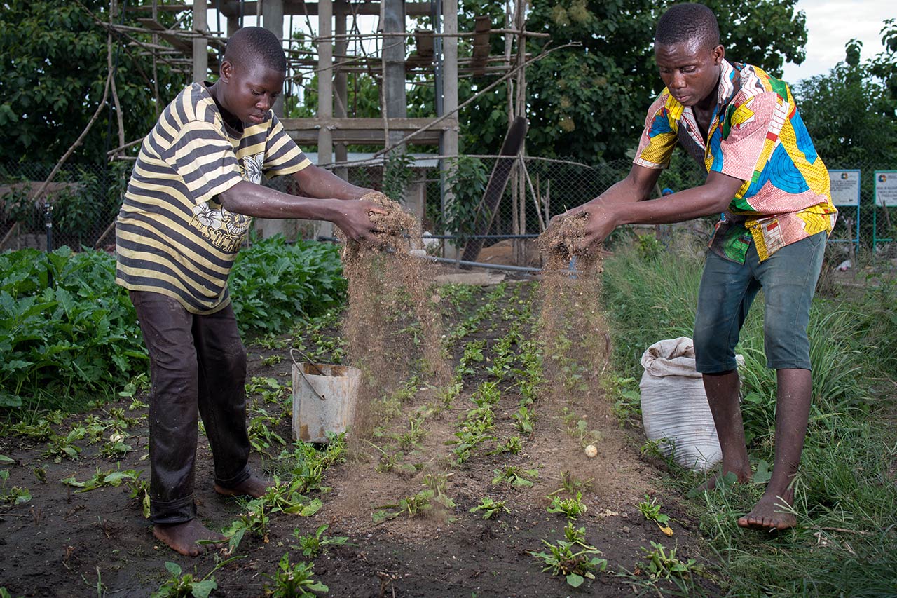 Benin: Training für junge Landwirte zur Feldbestellung im grünen Innovationszentrum nahe der Stadt Lokossa. Photo: Klaus Wohlmann/GIZ