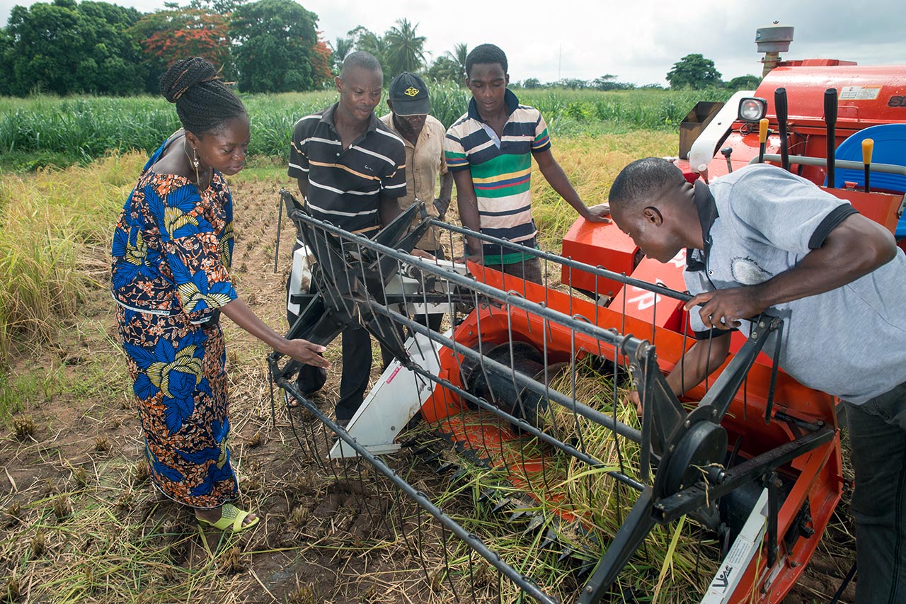 Einsatz von Landmaschinen bei der Reisernte im Benin. Photo: Klaus Wohlmann/GIZ