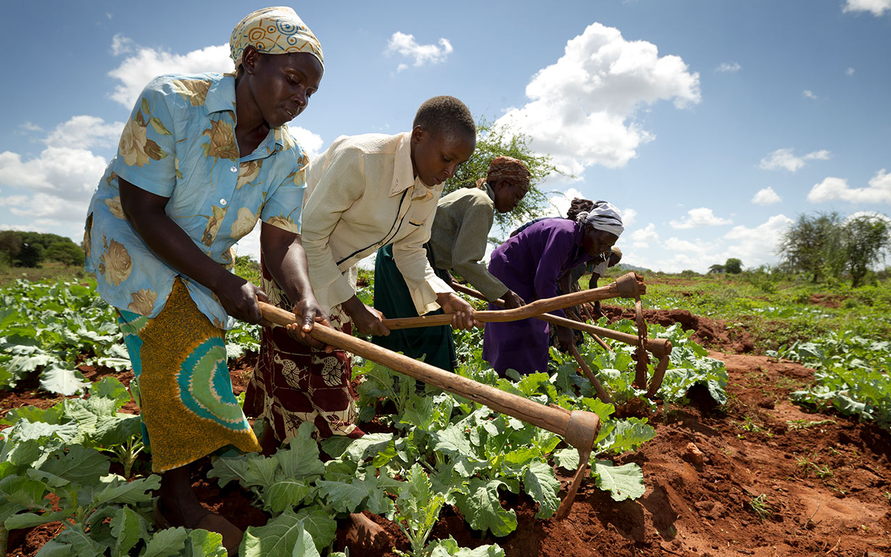 Women working in the fields in their own vegetable beds, Machakos, Kenya. Photo: Christoph Püschner/Bread for the World